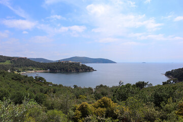 Naklejka premium Istanbul Heybeliada Bay and Forest