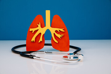 Model of lungs and stethoscope are on doctor's table. Health care concept