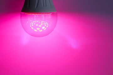 LED plant lamp with pink glow close-up. Copy space.