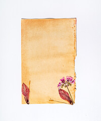 flowers on the vintage paper