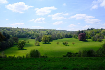 A spectacular and vibrant view across the Surrey Hills with trees and meadows on a sunny spring day.
