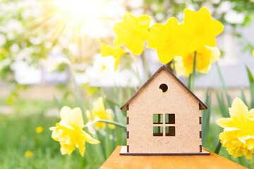 Wooden toy house against vivid daffodils background