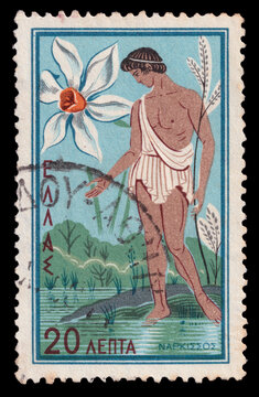 narcissus and flower illustration on vintage postage stamp