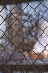 Wire mesh fence in front of an ongoing building construction blocking the way forming an abstract industrial scene