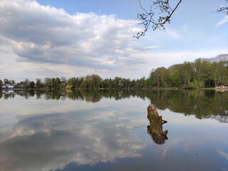 lake in the forest