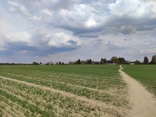 field and sky