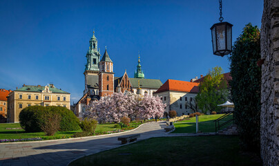 Spring in Krakow - Wawel Castle in flowers