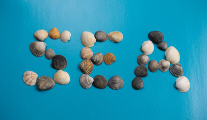 Colorful shells forming the word sea on a blue background. Concept of vacation and recreation