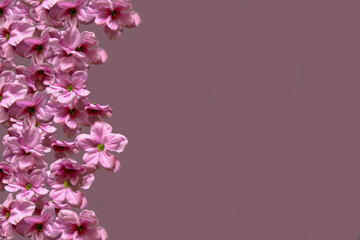 Purple Flowers Side Frame Floral Creative Collage Text Space
