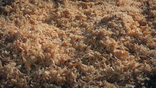 Carpentry Wood Sawdust Covers The Floor
