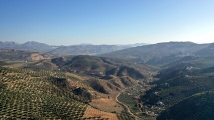 Fototapeta na wymiar survol des champs d'oliviers (oliveraies), hacienda et village blanc en Andalousie dans le sud de l'Espagne