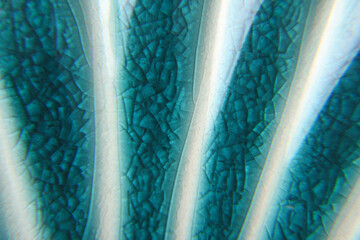 close up of blue cyan color glass macro background