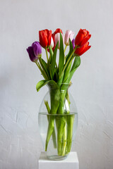 Bouquet of tulips in a glass vase on a white background