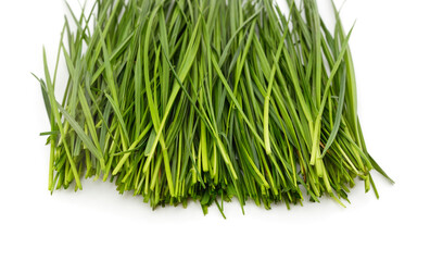 Bunch of green grass.