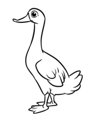 Goose bird character coloring page cartoon illustration