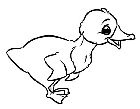 Duck character bird coloring page cartoon illustration