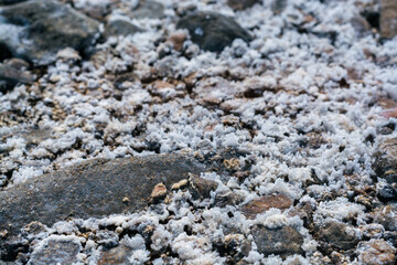 Crystals of hydrothermal mineral gypsum