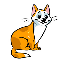 little cat cartoon illustration