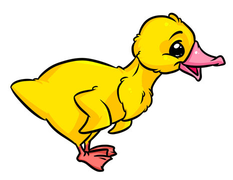 Duck character bird cartoon illustration