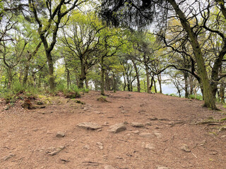 The Cheshire Countryside from Peckforton Hills