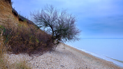 The beach at Brownwich Cliffs near Titchfield Haven, Hampshire, UK