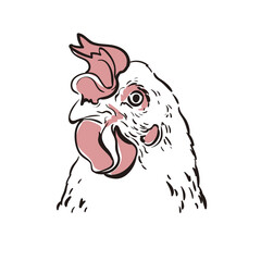 Hen chicken portrait face monochrome color. Fresh eggs logo. Farm premium quality isolated on white background. Premium element design packaging. Illustration Vector Sketch hand drawn