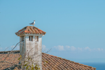 A seagull on the roof contemplating a calm turquoise sea