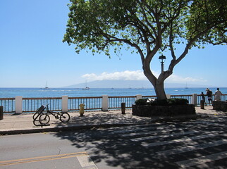 View of the sea from the shadow of a tree at Lahaina, Maui, Hawaii. Lanai island beneath clouds in the background. Sidewalk with iron fences, asphalt road, crosswalk, blue sea, clear blue sky.