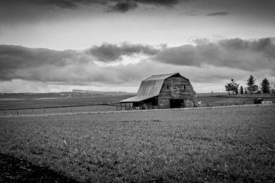 rustic barn black and white