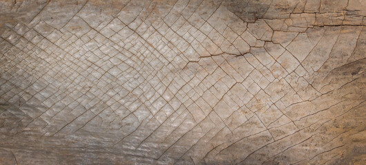 Fototapeta premium close up of a wooden texture