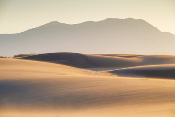 The sand dunes during sunset and strong wind. Summer landscape in the desert. Hot weather. Lines in the sand.