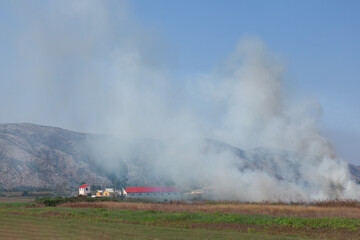 Fototapeta na wymiar Smoke from a burning farm field . Fire at agricultural field 