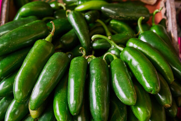 Jalapeno peppers placed on a shelf for sale inside a market