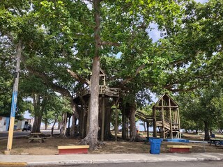Parque Colon Treehouse in Aguadilla Puerto Rico