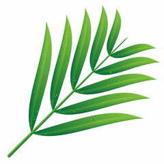 green leaf isolated on white background	