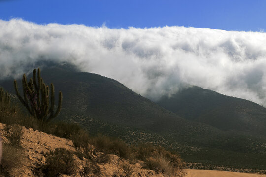 Camanchaca