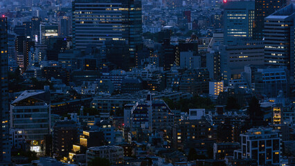 Urban landscape with dense buildings at central Tokyo area at night.
