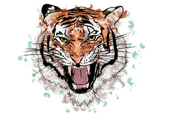 tiger head vector © Camila