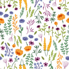 Vector seamless pattern with hand drawn wild plants, herbs and flowers, colorful botanical illustration, floral elements, hand drawn repeating background. Wild meadow herbs, flowering flowers