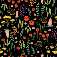 Obraz premium Vector seamless pattern with hand drawn wild plants, herbs and flowers, colorful botanical illustration, floral elements, hand drawn repeating background. Wild meadow herbs, flowering flowers