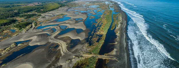 Foto op Plexiglas Whetland nea ocean in seventh region Maule in Chile © lblinova