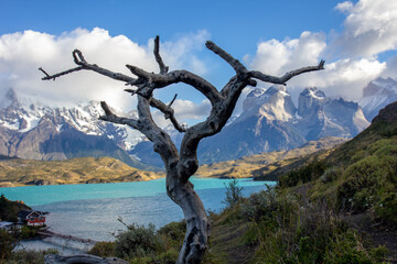 Pehoe lake in Torres del Paine chilean national park in Patagonia