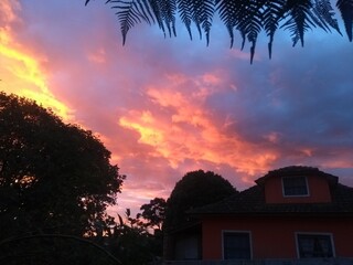 Fototapeta premium sunset in the city