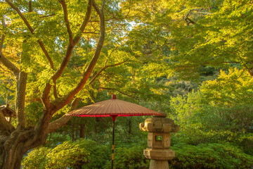 autumn in the park