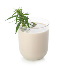 Obraz na płótnie Canvas Glass of hemp milk and fresh branch on white background