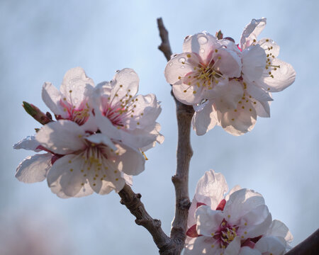 รูปภาพHiraoka เลือกดูภาพถ่ายสต็อก เวกเตอร์ และวิดีโอ77 Adobe Stock
