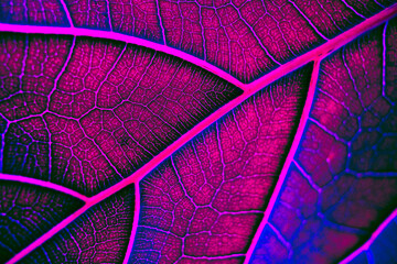 Neon stylized leaf texture