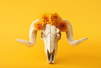 Skull of sheep with flowers on orange background