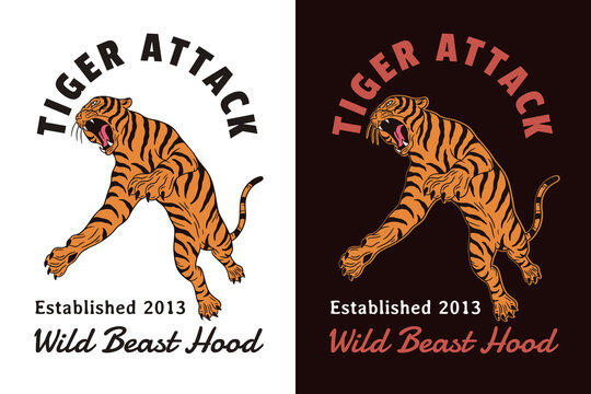 Set Dark illustration Tiger Beast Big Cat Head and Pose Hand drawn Hatching Outline Symbol Tattoo Merchandise T-shirt Merch vintage