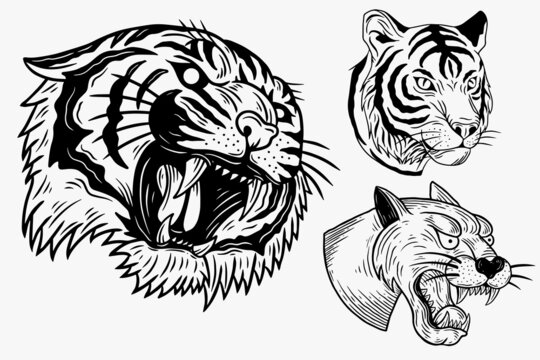 Set Dark illustration Beast Tiger Panther Head Bones Hand drawn Hatching Outline Style for Tattoo Merchandise T-shirt Merch vintage